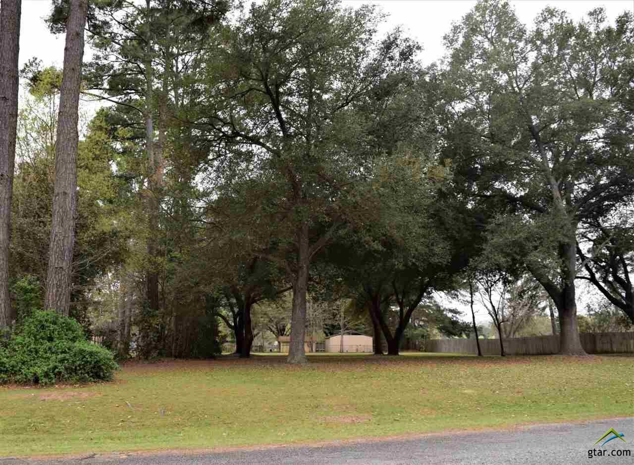 Property Photo:  Lot 79 N Cape Dr  TX 75758 