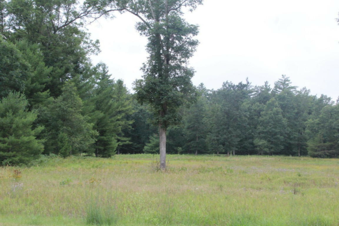 Property Photo:  7237 M-37  MI 49304 