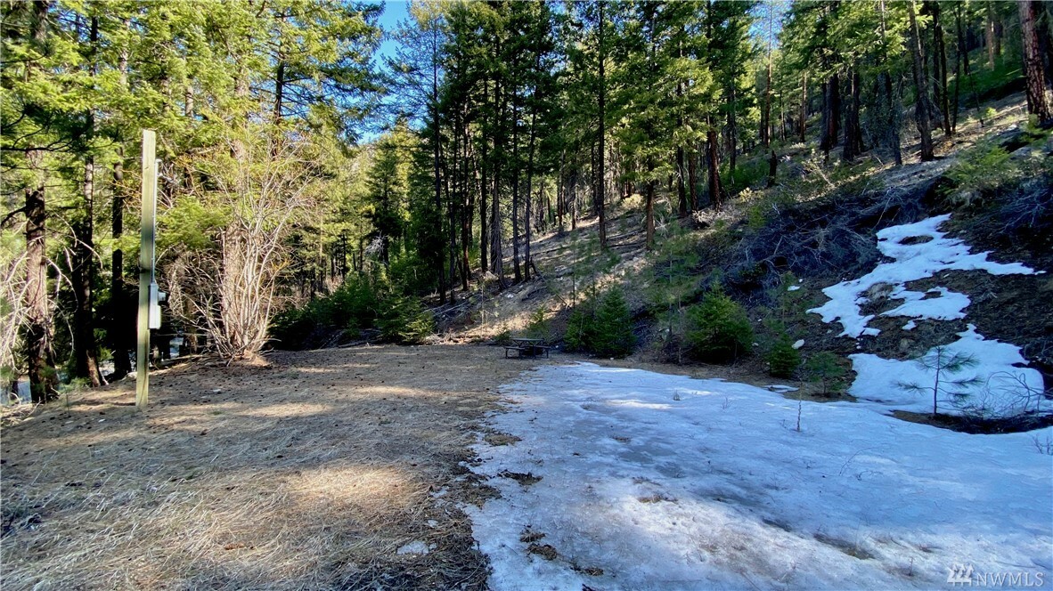 Property Photo:  0 Entiat River Rd  WA 98822 