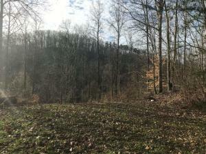 Property Photo:  155 Foust Hollow Rd  TN 37754 