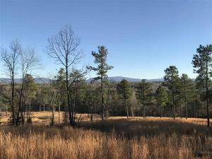 Property Photo:  County Road 754  TN 37370 