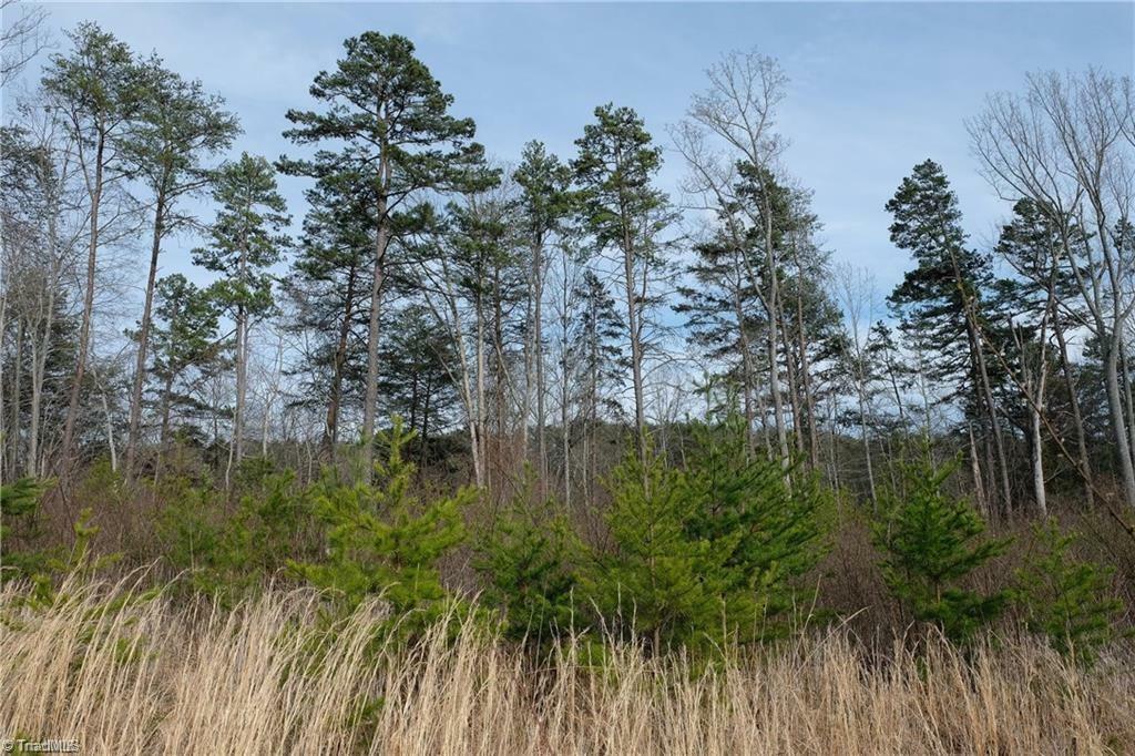 Property Photo:  0 Nc Highway 8  NC 27019 