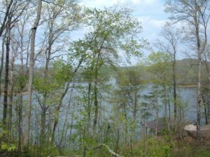 Property Photo:  Sawmill Cove Rd  TN 37854 