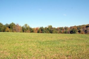 Property Photo:  3952 Freels Rd  TN 37737 