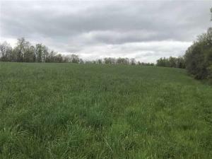 Property Photo:  Tract 1 County Road 2  TN 37370 