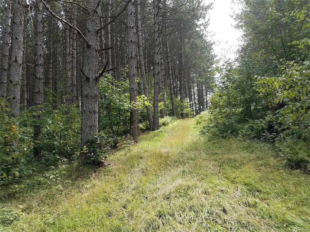 Property Photo:  Parksville Road  NY 12765 