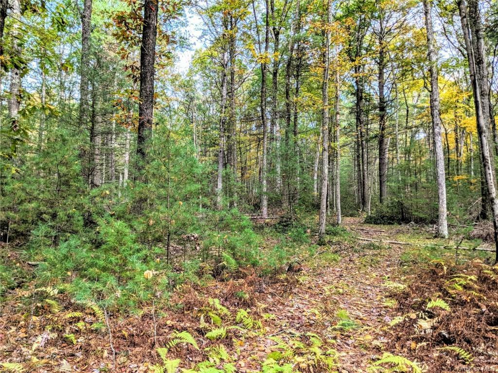 Property Photo:  Eldred-Yulan Road  NY 12732 