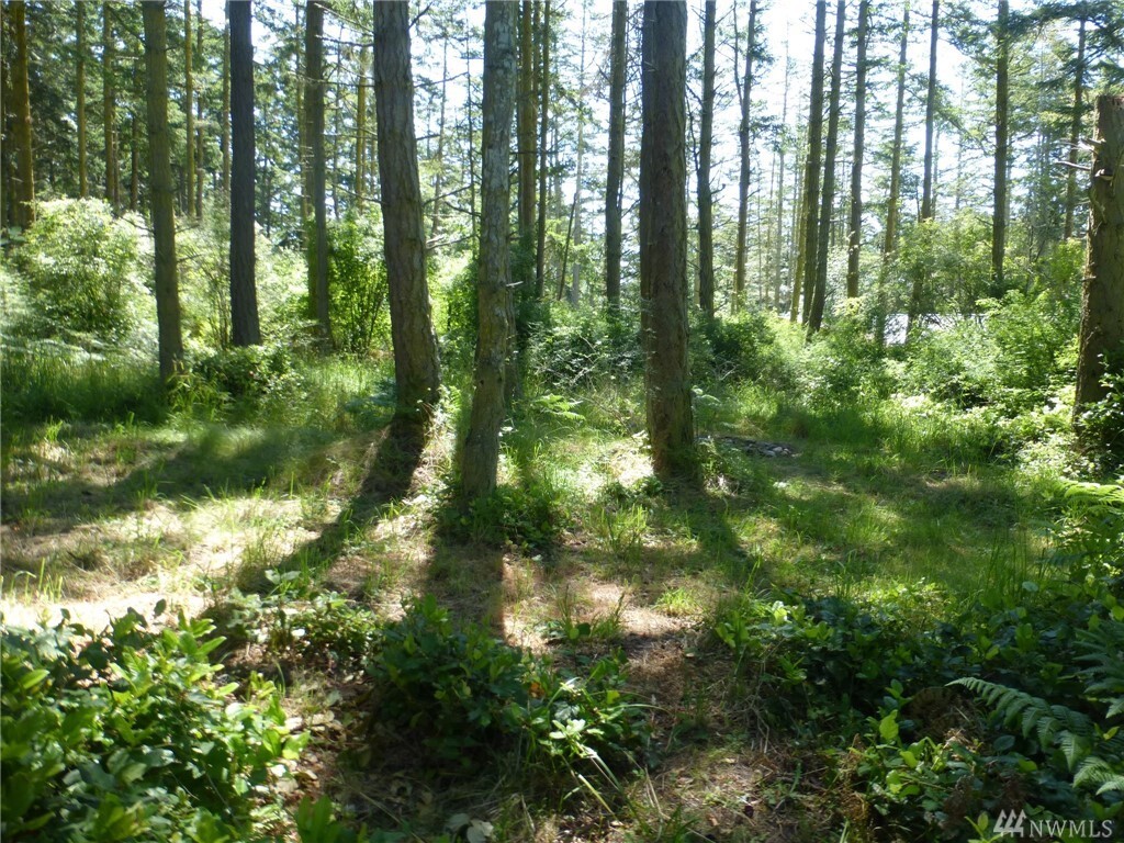 112 Robin Lane  Lopez Island WA 98261 photo