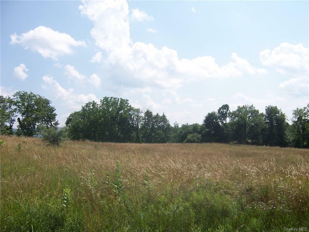 1 Paiges Way  Warwick NY 10990 photo