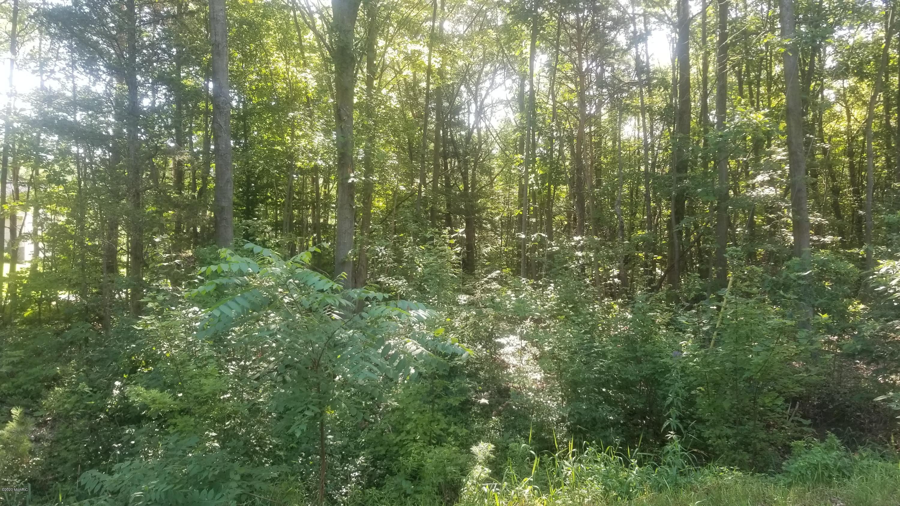 Property Photo: 4532 N 160th Avenue MI 49424