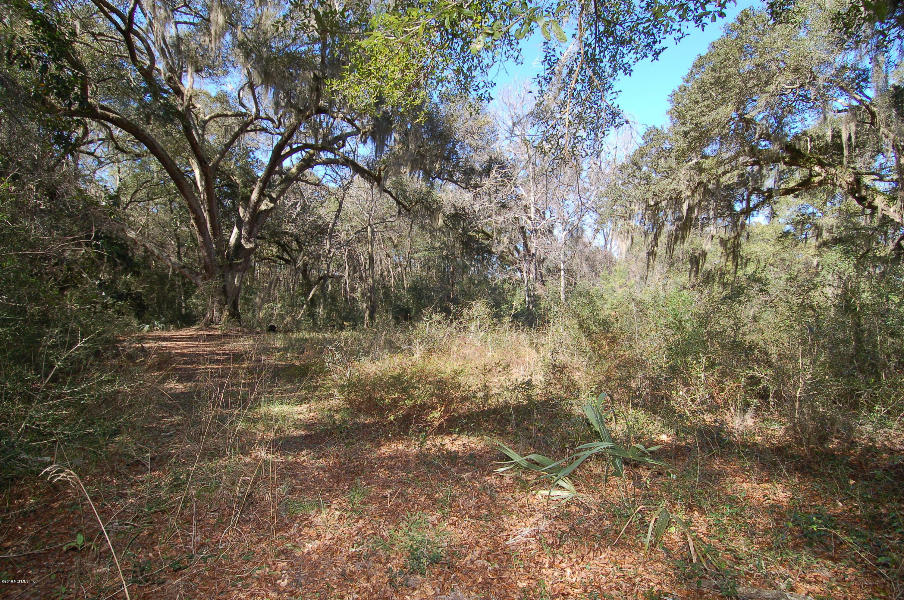 Property Photo:  11+/- Ac Blackrock Road  FL 32034 