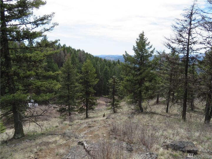 Property Photo:  36,37,38 Union Ridge Rd  WA 99166 