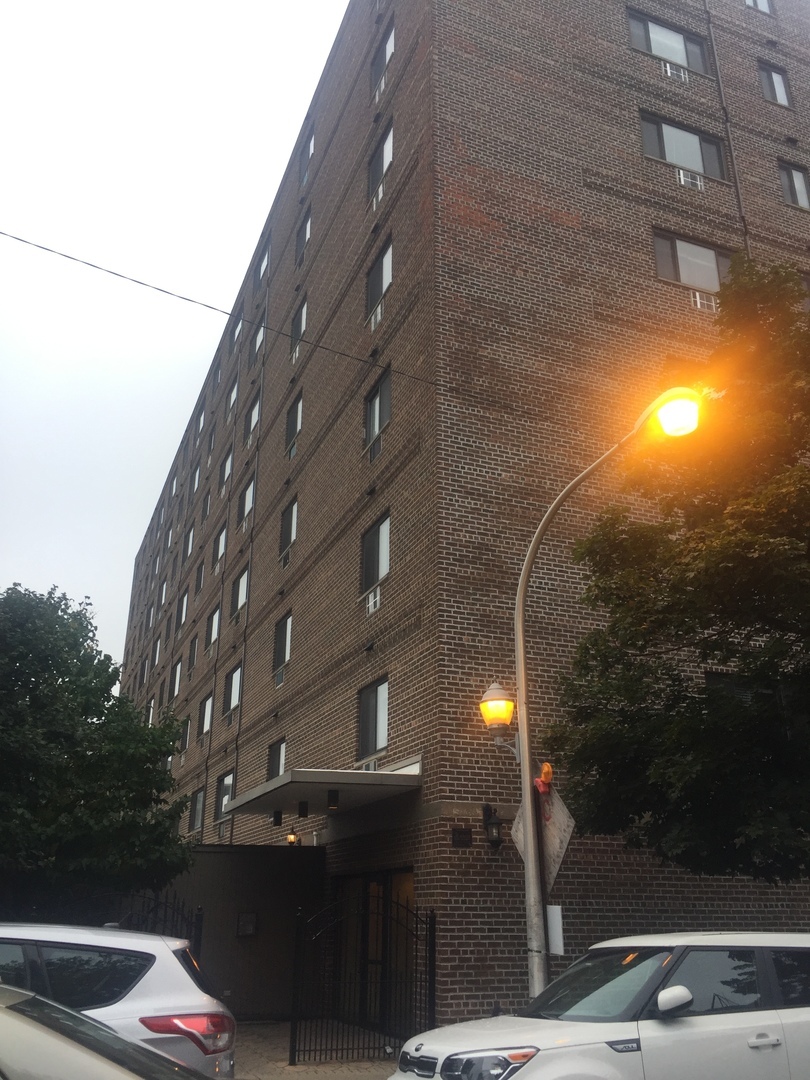 Property Photo: 607 West Wrightwood Avenue 215 IL 60614