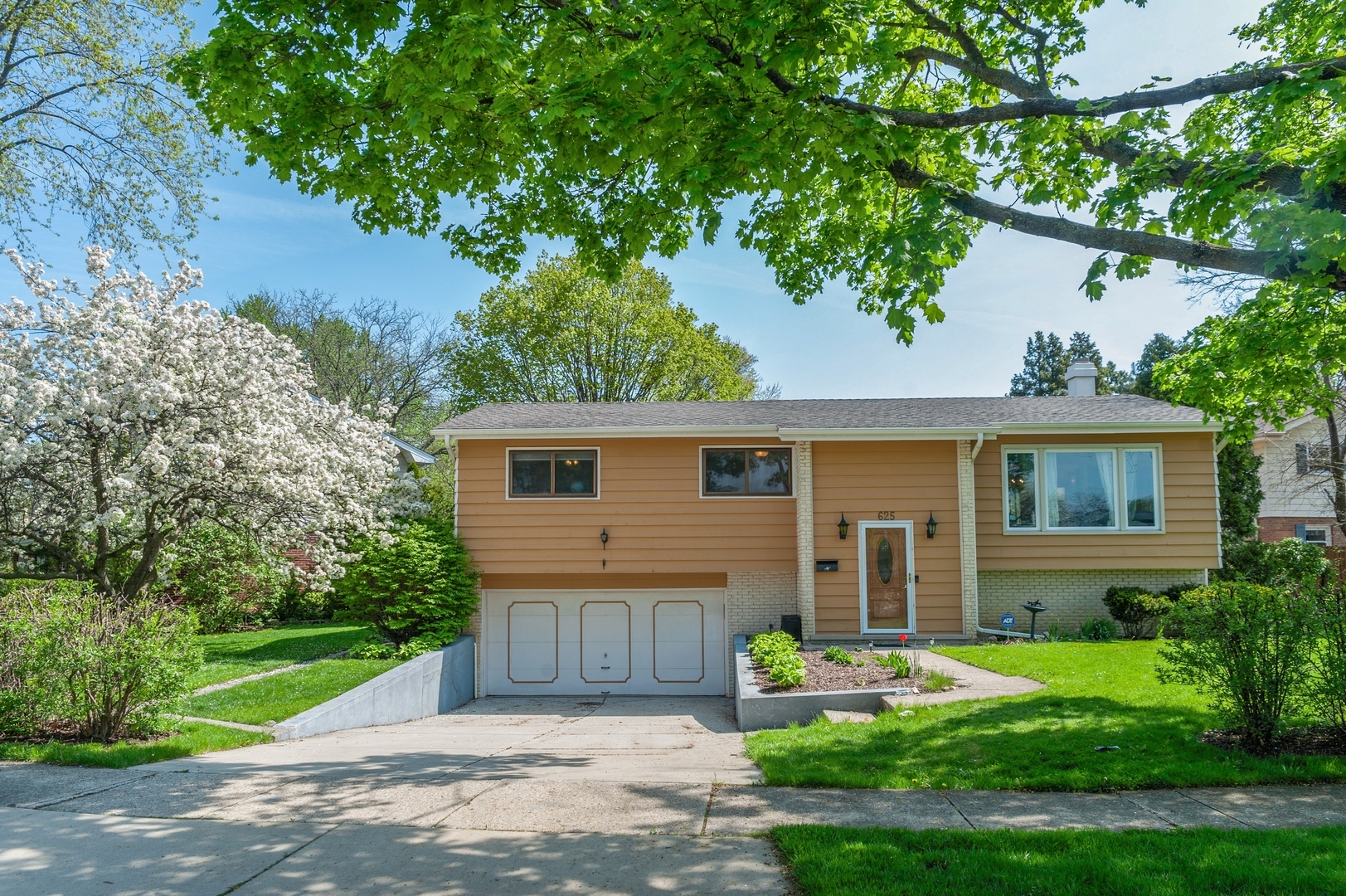 Property Photo:  625 North Hawk Street  IL 60067 