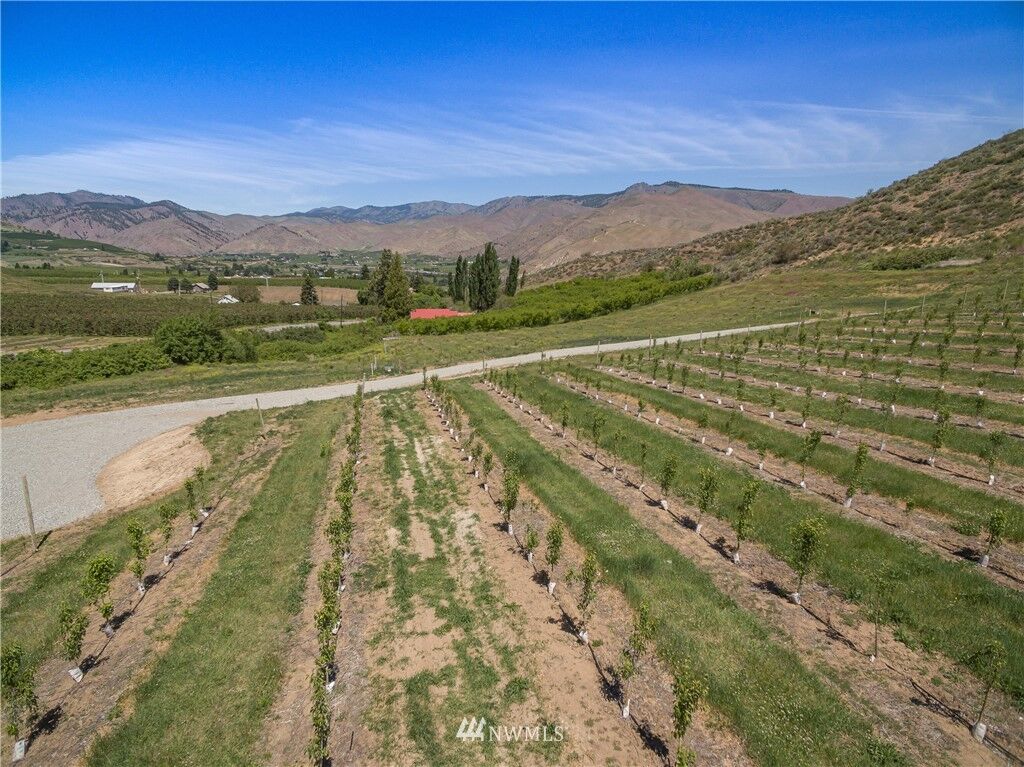 Property Photo:  61 Little Buck Lane  WA 98836 