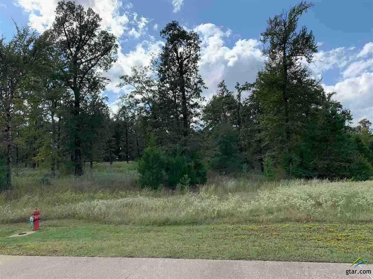 Property Photo:  Lot 3 Stone Ridge Trail  TX 75605 