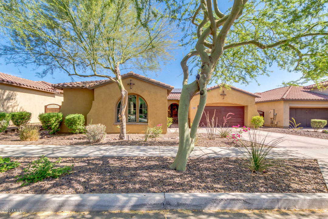 Property Photo:  2326 E Winston Drive  AZ 85042 