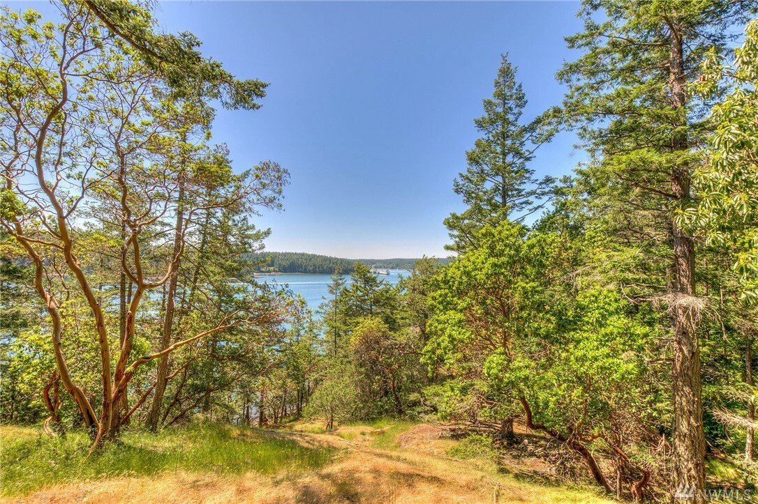 Property Photo:  558 Old Farm Rd  WA 98280 