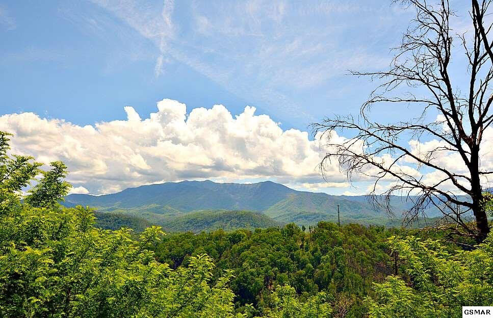 Property Photo:  888 Chalet Village Boulevard  TN 37738 