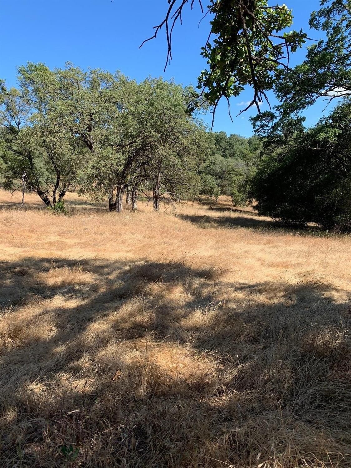 Property Photo: 0 11.4 Acres Sierra Real CA 95623