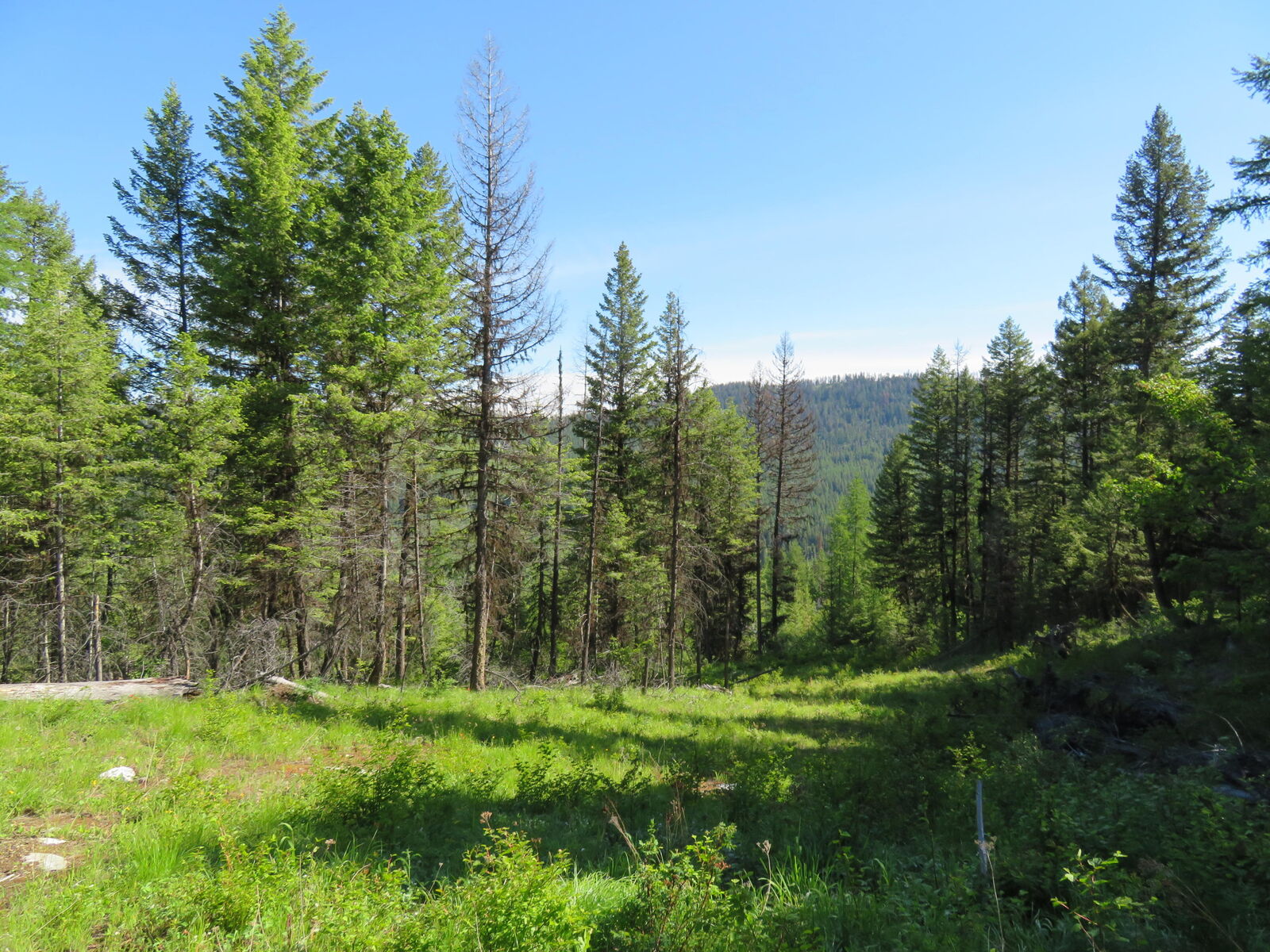 Property Photo:  Tbd 1st Creek Rd  WA 99118 