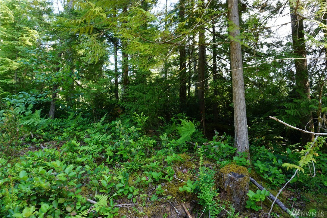 Property Photo:  0 Tahuya Blacksmith Road  WA 98588 