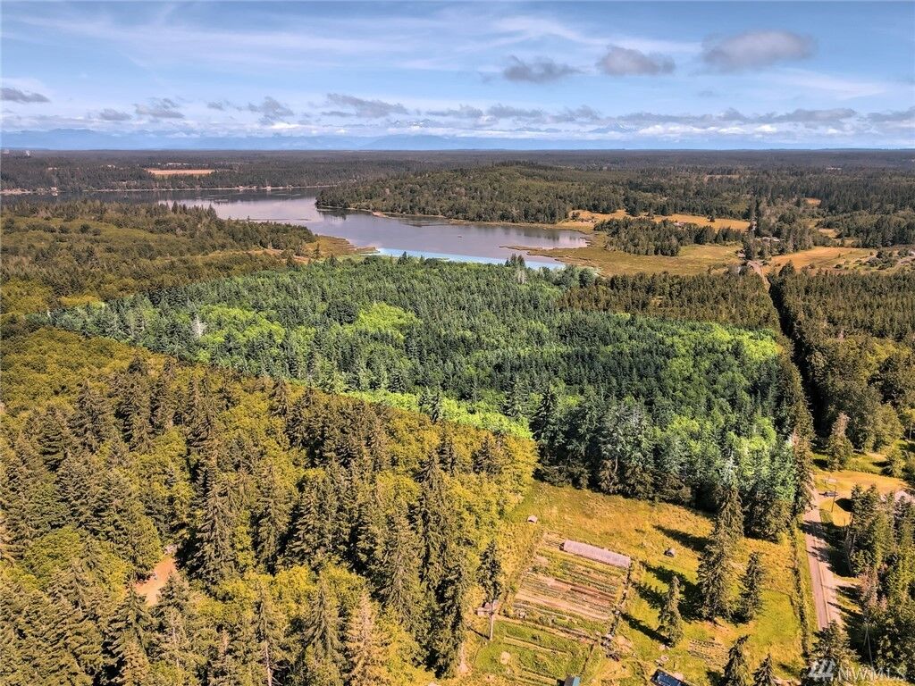 MLS1619378 Xxx E Agate Loop Rd, Shelton, WA 98584