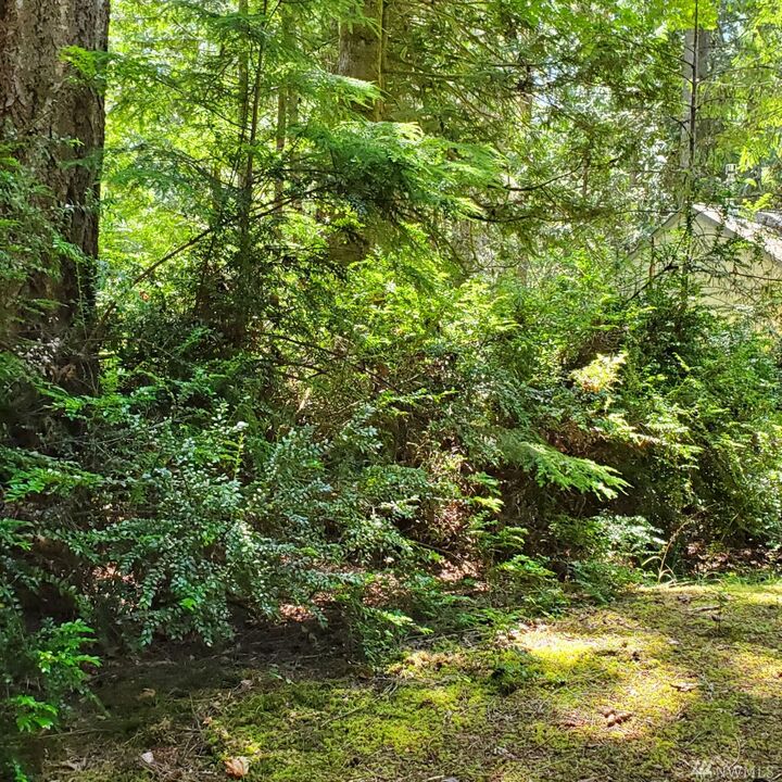 Property Photo:  638 E Pointes Dr W  WA 98584 