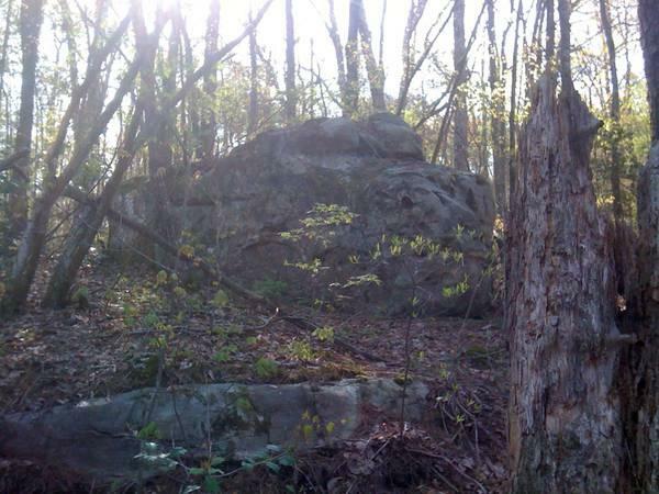 Property Photo:  1141 County Road 165  AL 35984 