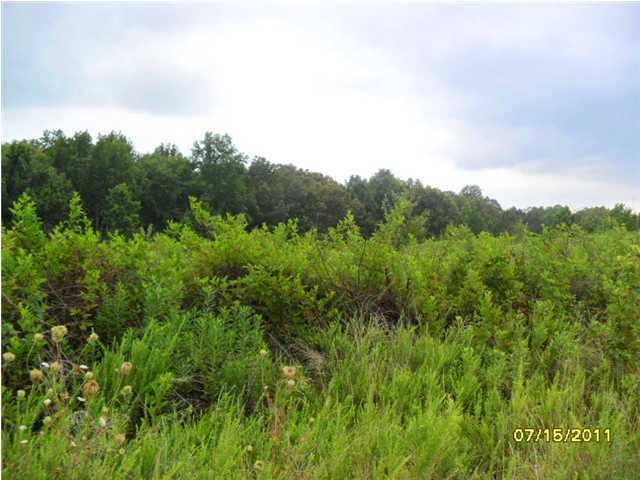 Property Photo: 0 County Rd 818 AL 35958