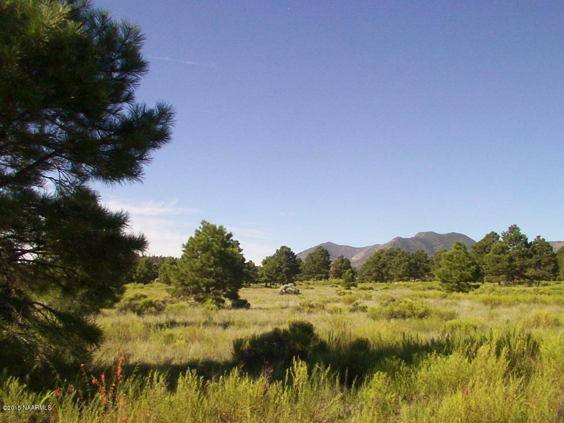 Property Photo:  5560 E Atkinson Road  AZ 86004 