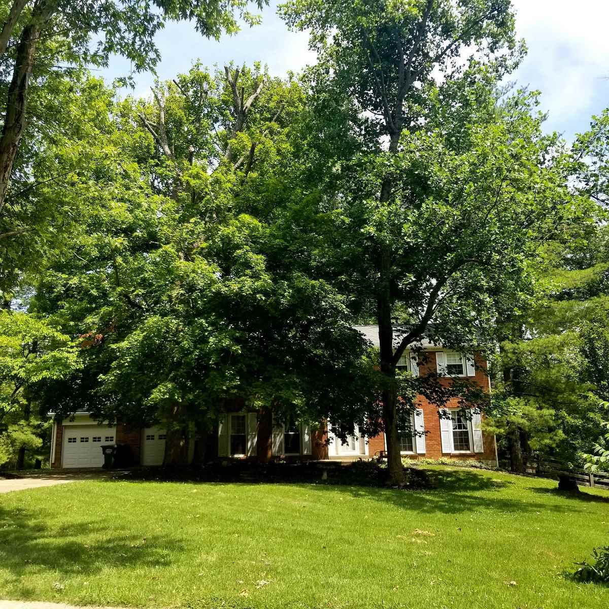 Property Photo:  10748 Sedco Drive  KY 41091 