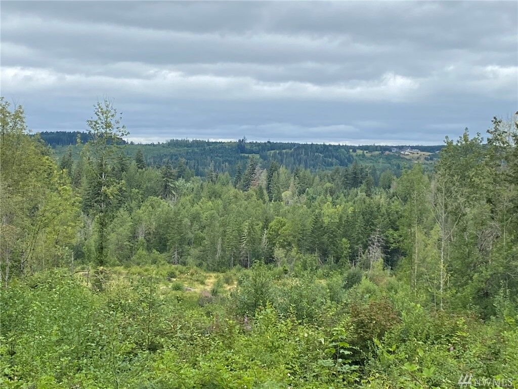 Property Photo: 1 Norton Lane WA 98570