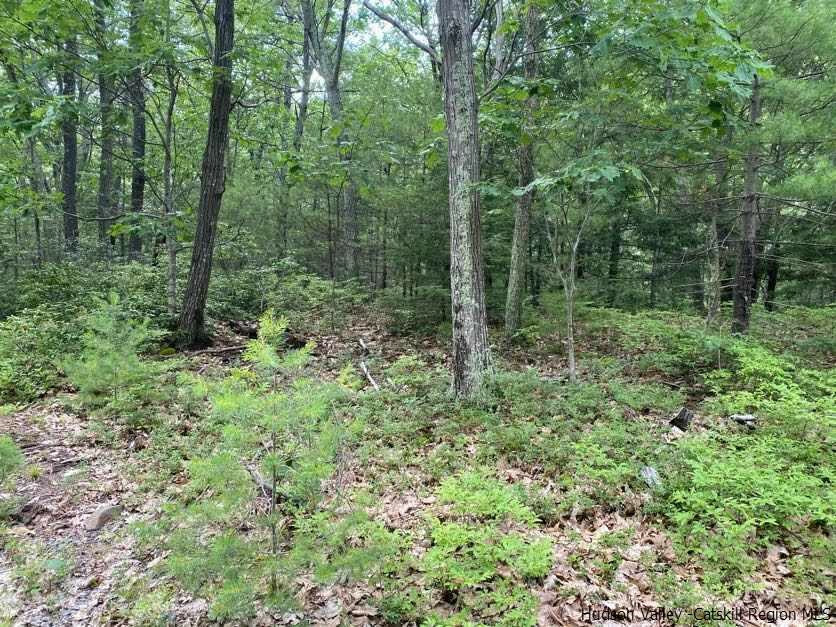 Property Photo: Tbd Platte Clove NY 12477