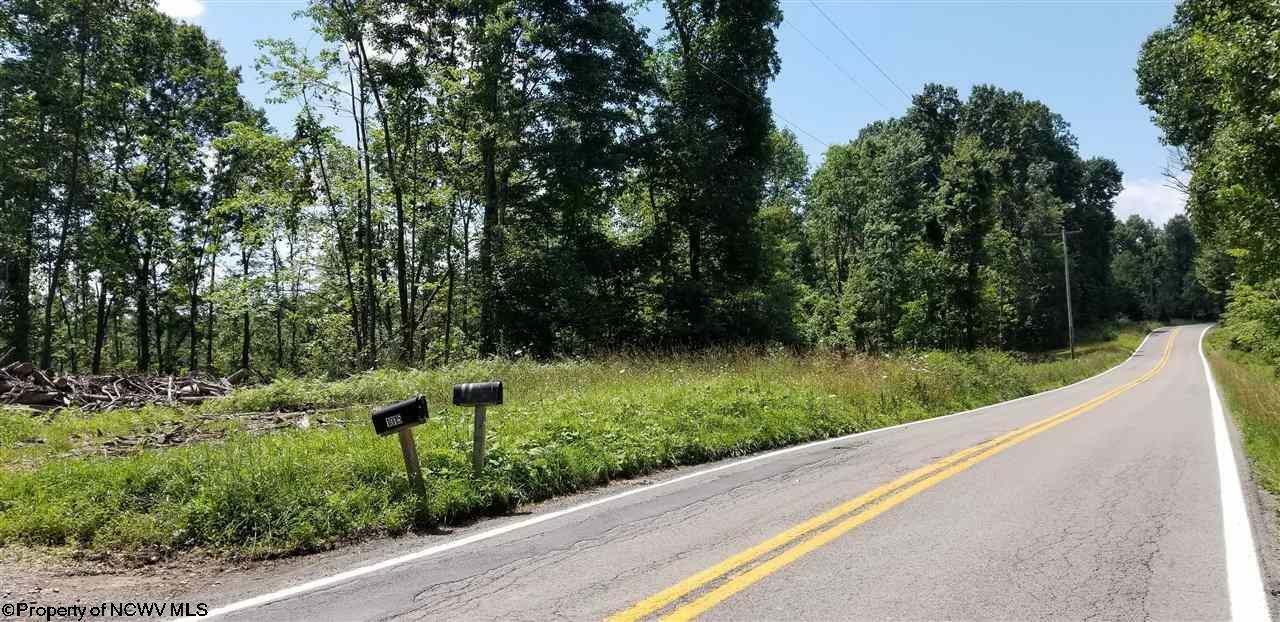 Property Photo:  4acre Halleck Road  WV 26508 