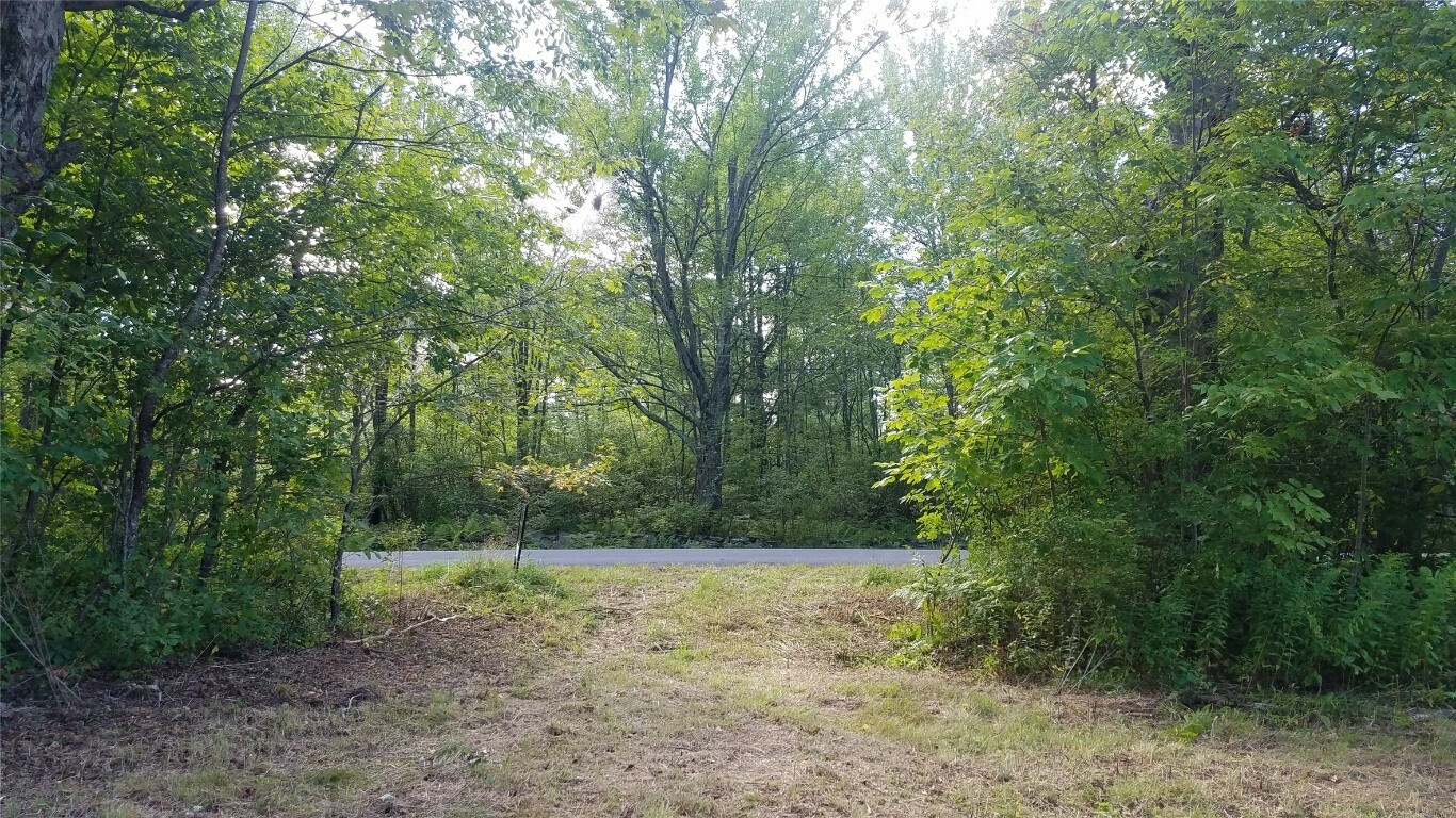 Property Photo:  204 Parks Road  NY 13778 