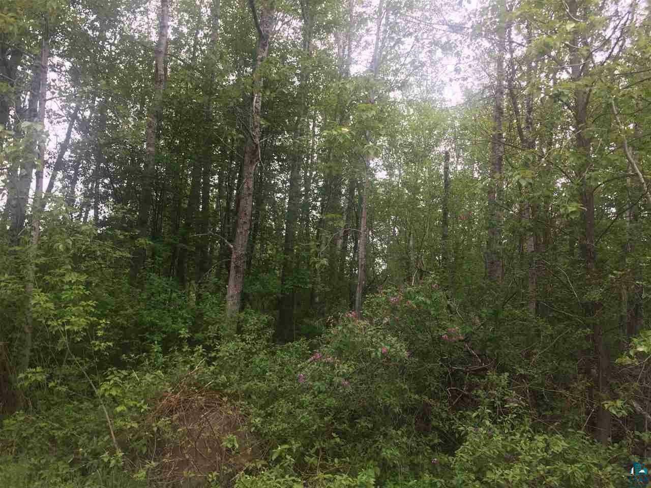 Property Photo: Xxxx Grand Avenue Pl MN 55808