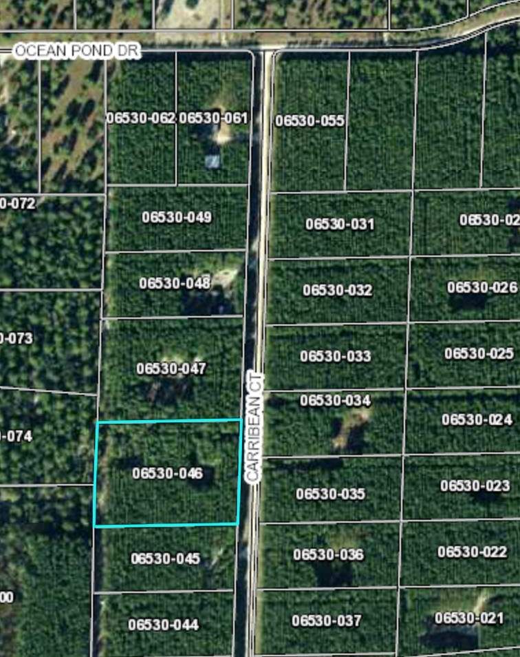 Property Photo:  14250 Caribbean Court  FL 32348 