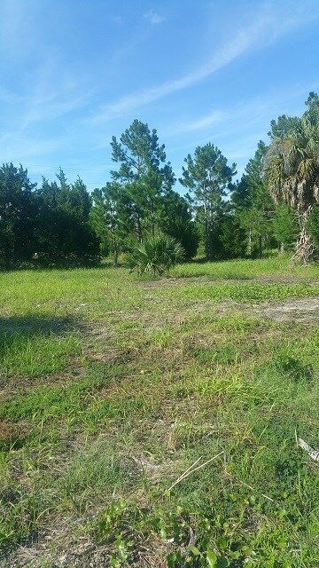 Property Photo:  No.  911 Osprey Circle 0  FL 32348 