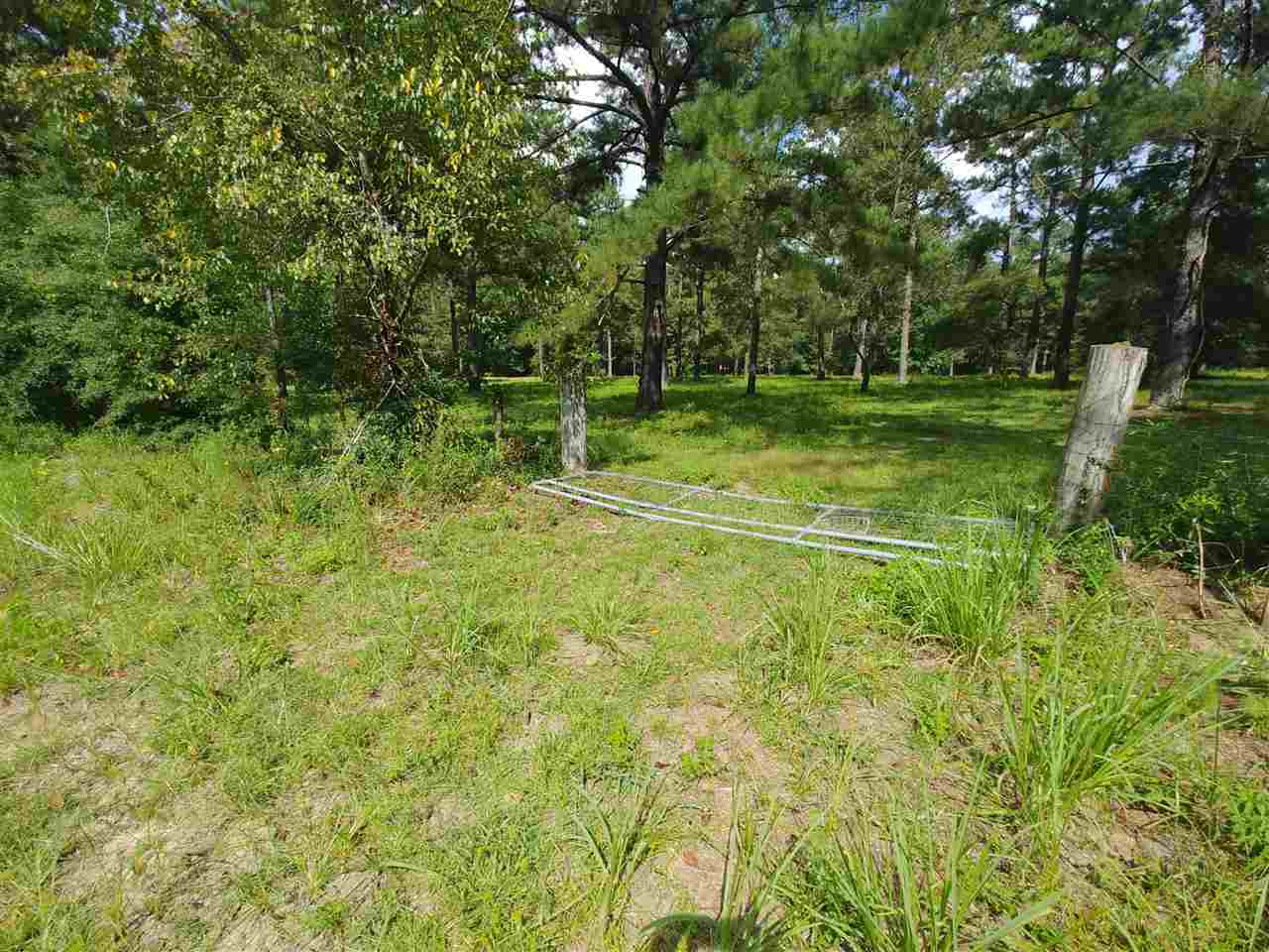 Property Photo:  Xxx Paul Thompson Road -  FL 32344 