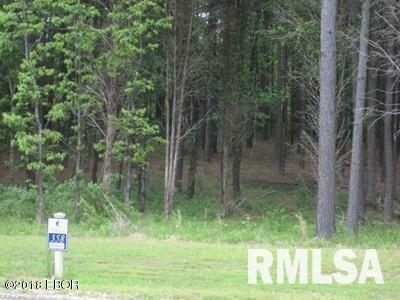 Property Photo: Lot 358 Parrish Ridge Lane IL 62939