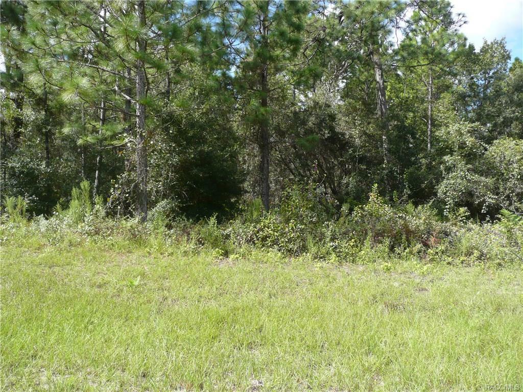 Property Photo:  4515 N Perry Drive  FL 34465 