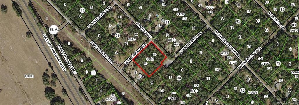 12550 W Snowdrop Place  Crystal River FL 34428 photo