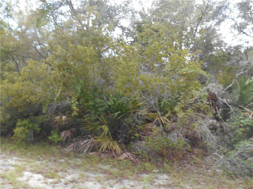 12168 W Deodar Street  Crystal River FL 34428 photo