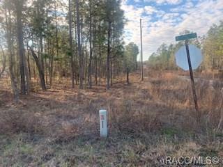 Property Photo:  Lot 30 NE 7 Place  FL 32696 