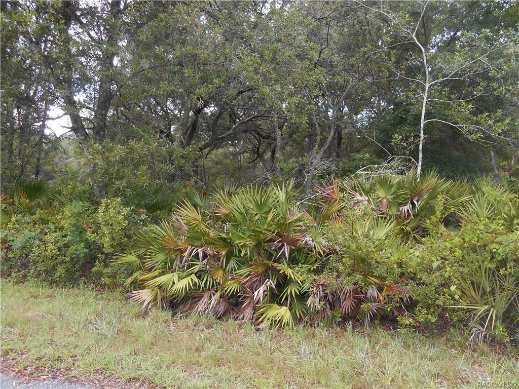 Property Photo:  9350 N Cavewood Avenue  FL 34428 