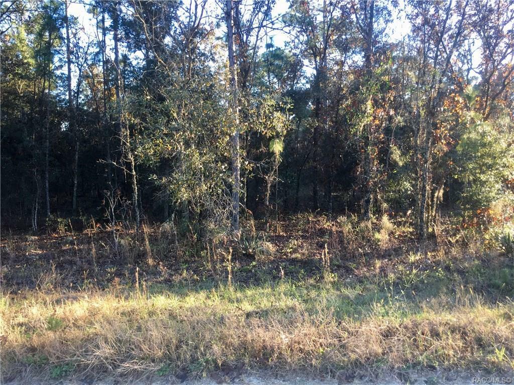 Property Photo:  Lot 12 SW 81 Street  FL 34432 