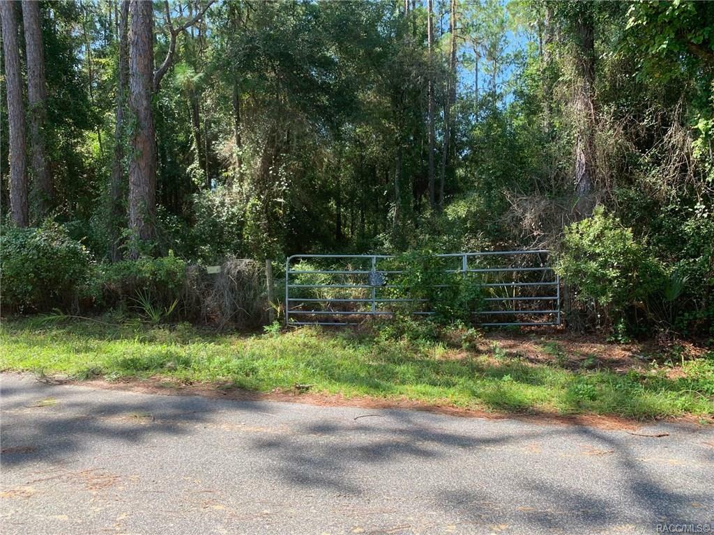 Property Photo:  4094 E Ft Apache Place  FL 34434 