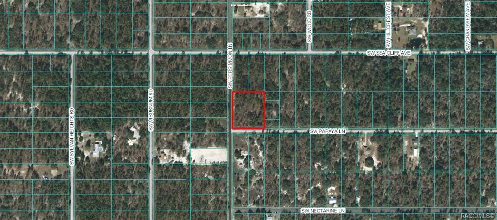 Property Photo:  Lot 25 &Amp 26 SW Papaya Lane  FL 34431 