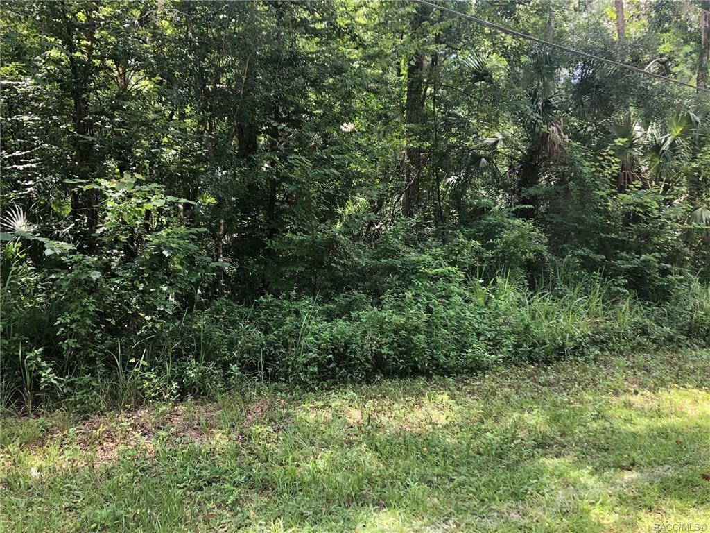 Property Photo:  10737 W Wyandotte Street  FL 34448 